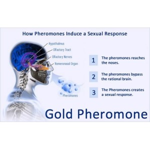 בושם פרומונים לנשים שמעורר חשק ומשיכה | FM 18 Pheromone